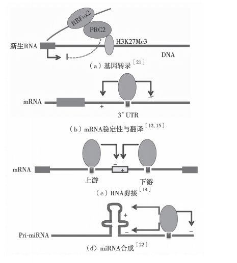 微信截图_20210129141352.png